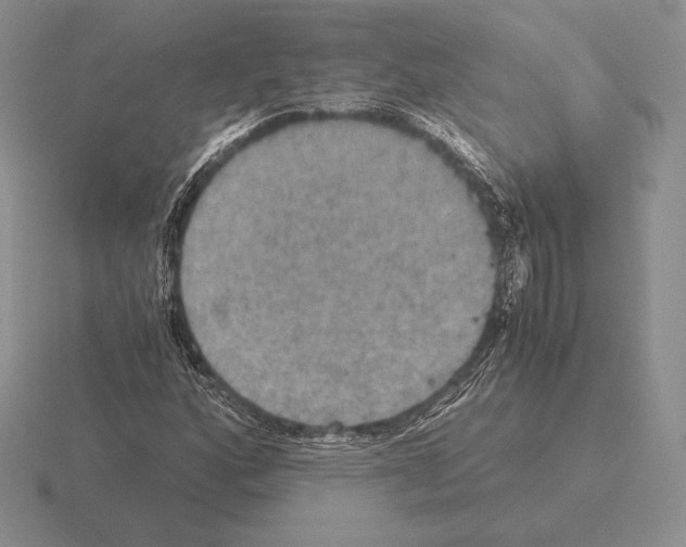 X0000115411160200912151535