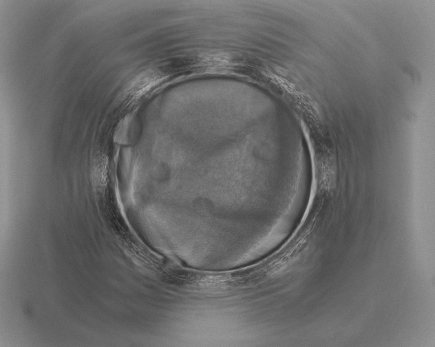 X0000115411161200912151535