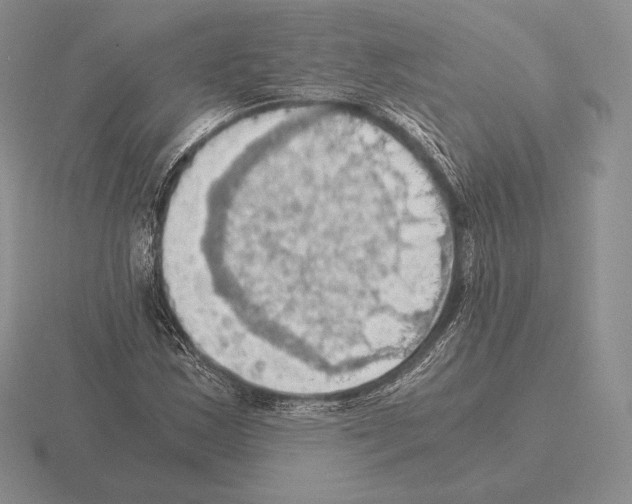 X0000115411163200912151535