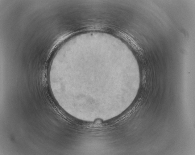 X0000115411164200912151535