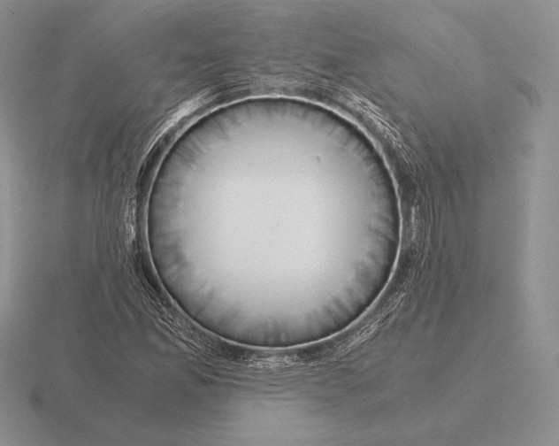 X0000115411165200912151535