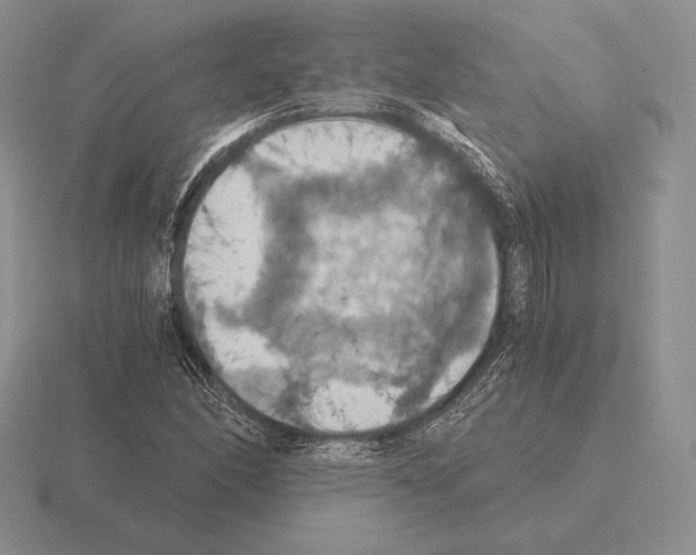 X0000115411166200912151535