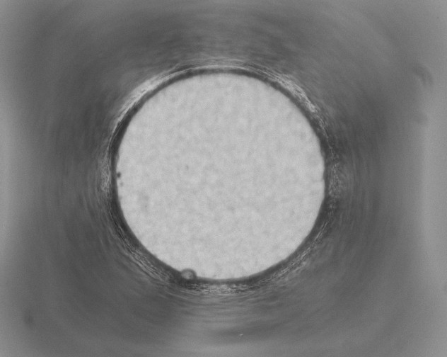 X0000115411167200912151535