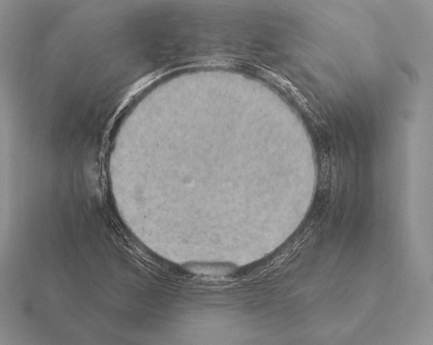 X0000115411168200912151535