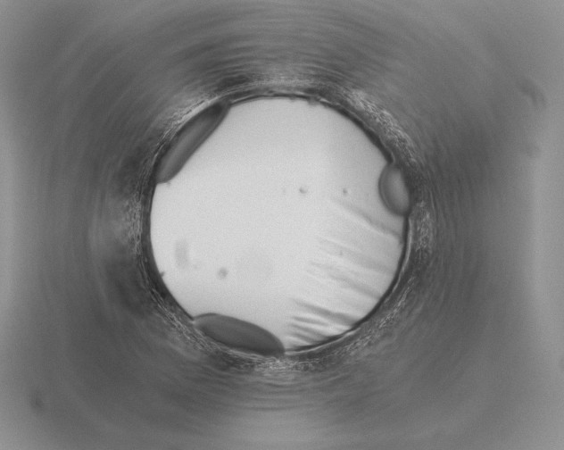 X0000115411169200912151535