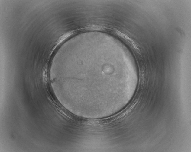 X0000115411170200912151535