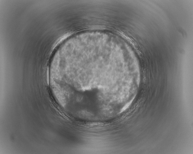 X0000115411171200912151535