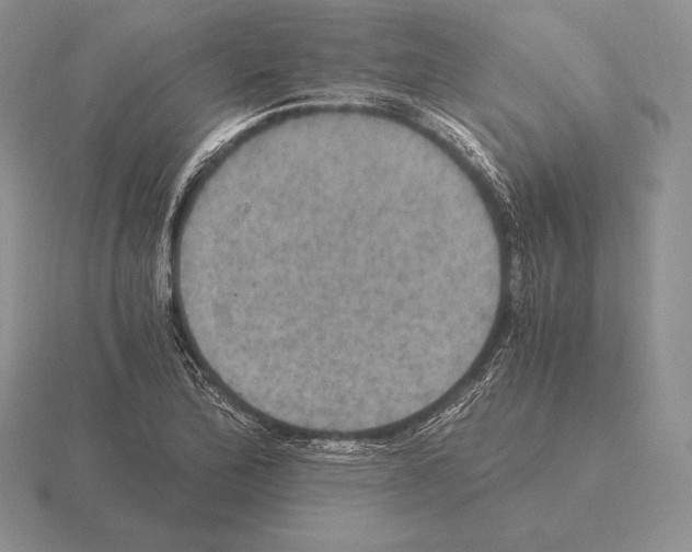 X0000115411172200912151535