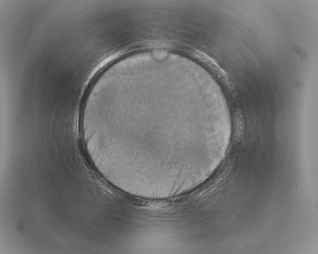 X0000115411174200912151535