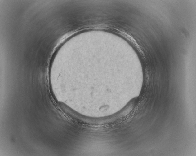 X0000115411176200912151535