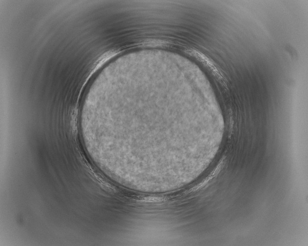 X0000115411178200912151535