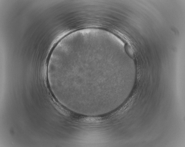 X0000115411179200912151535