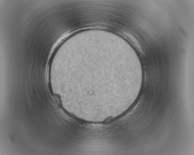 X0000115411180200912151535