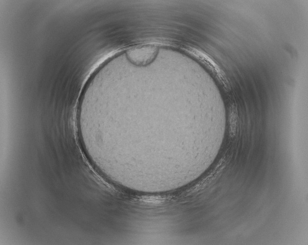 X0000115411182200912151535