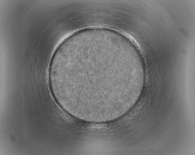 X0000115411183200912151535