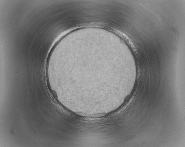 X0000115411184200912151535