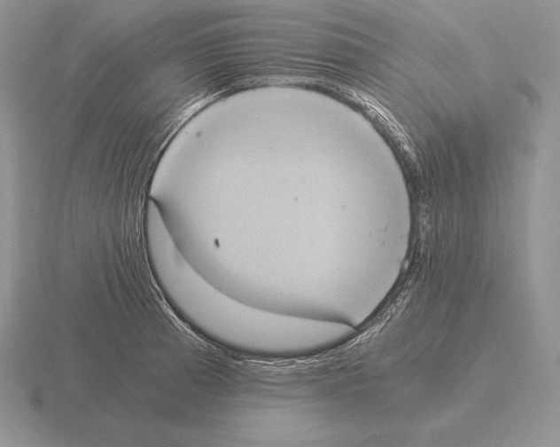 X0000115411185200912151535