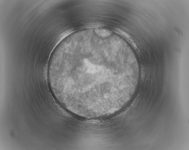 X0000115411186200912151535