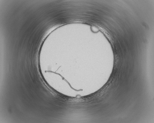 X0000115411187200912151535