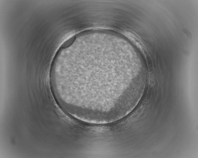 X0000115411189200912151535