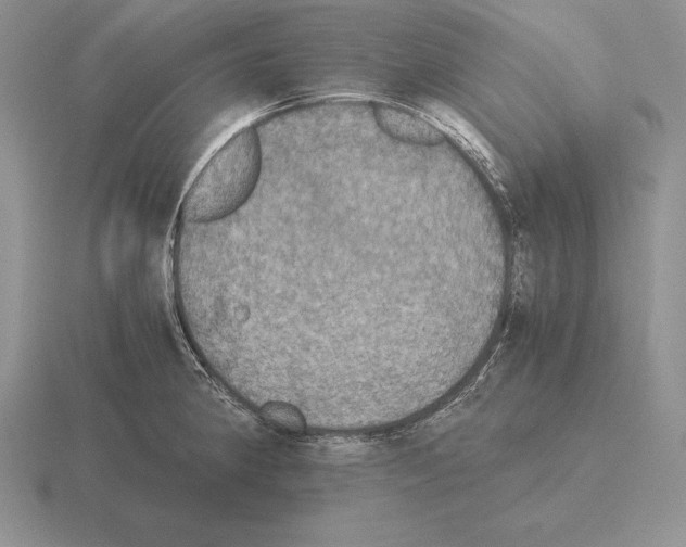 X0000115411190200912151535