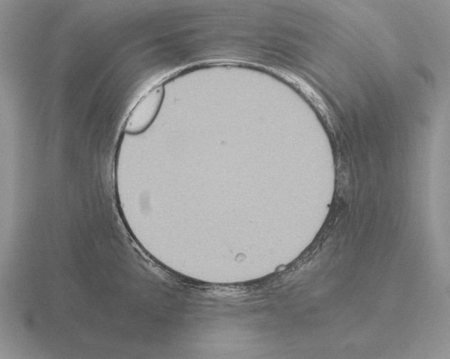 X0000115411191200912151535