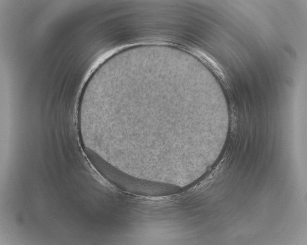 X0000115411192200912151535