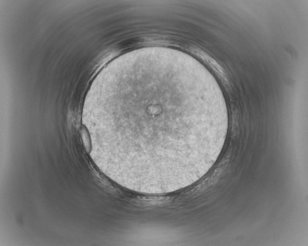 X0000115411193200912151535