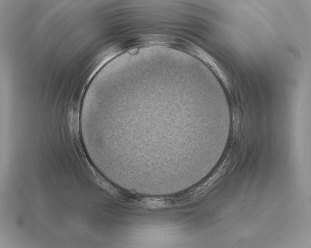 X0000115411194200912151535