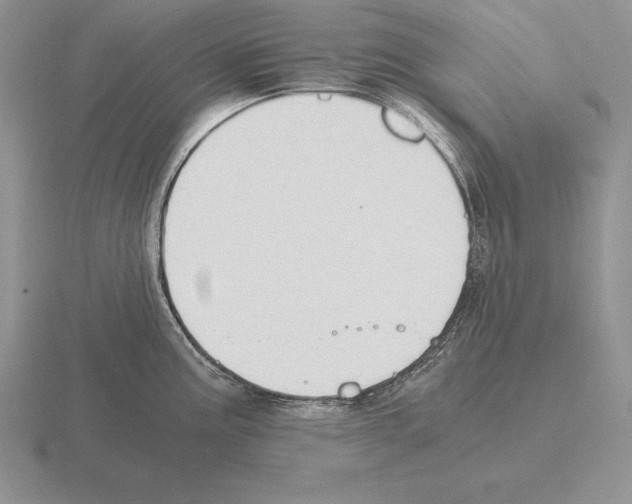 X0000115411195200912151535