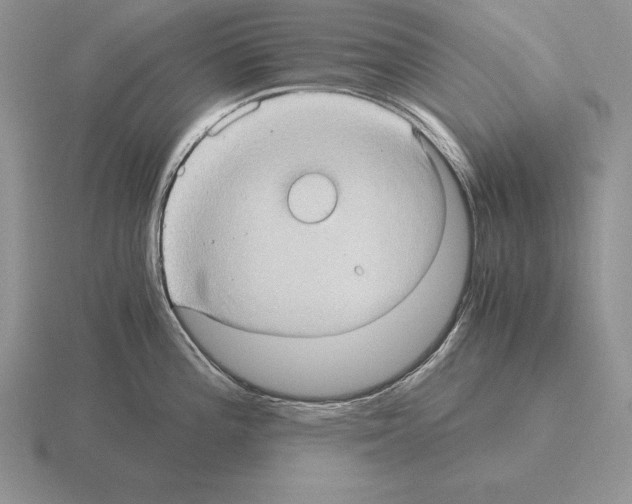 X0000115411196200912151535