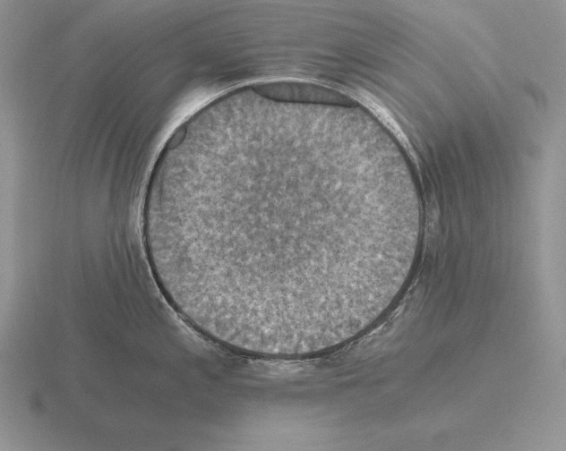 X0000115411197200912151535