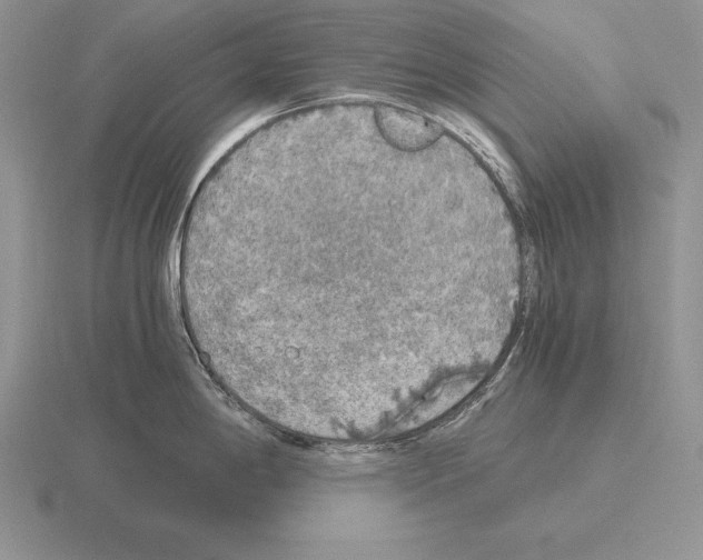 X0000115411198200912151535