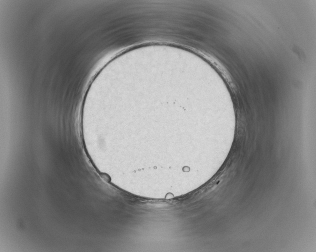 X0000115411199200912151535