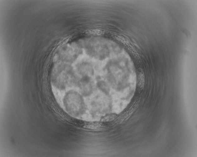 X0000115411201200912151534