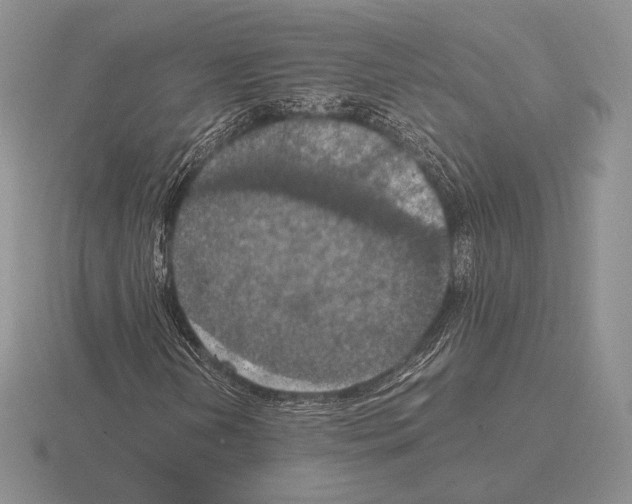 X0000115411202200912151534