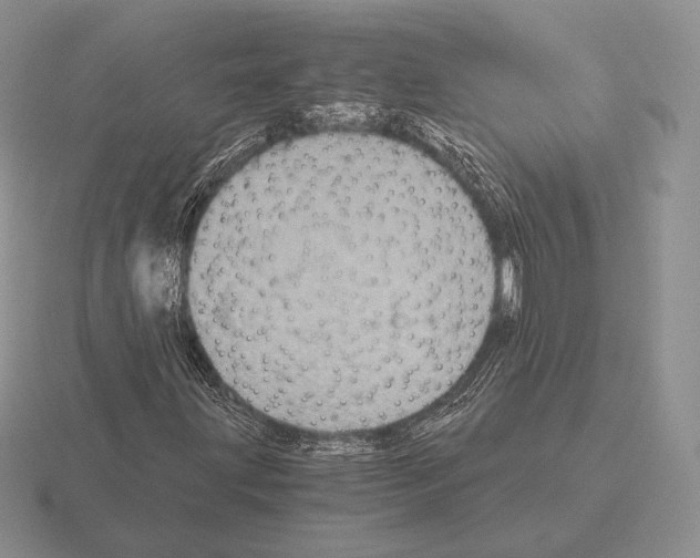 X0000115411203200912151534