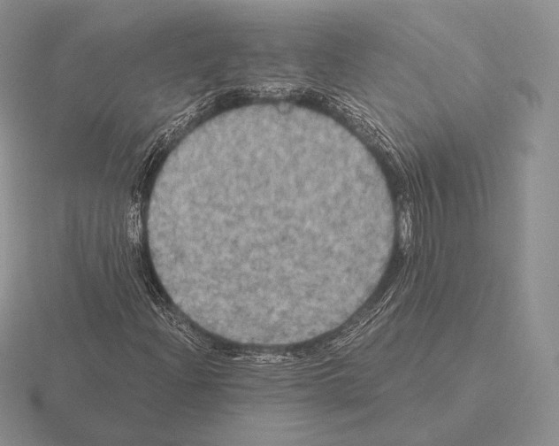 X0000115411204200912151534