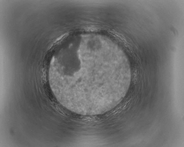 X0000115411205200912151534