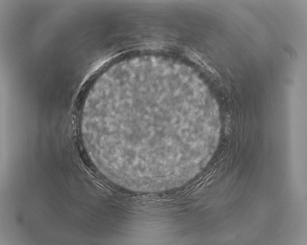 X0000115411208200912151534