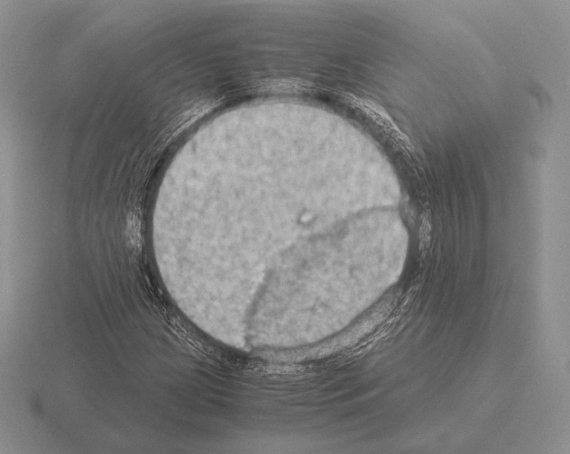 X0000115411209200912151534