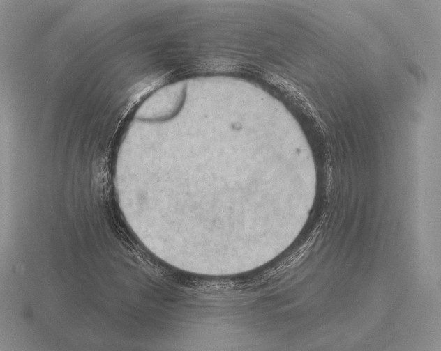 X0000115411210200912151534