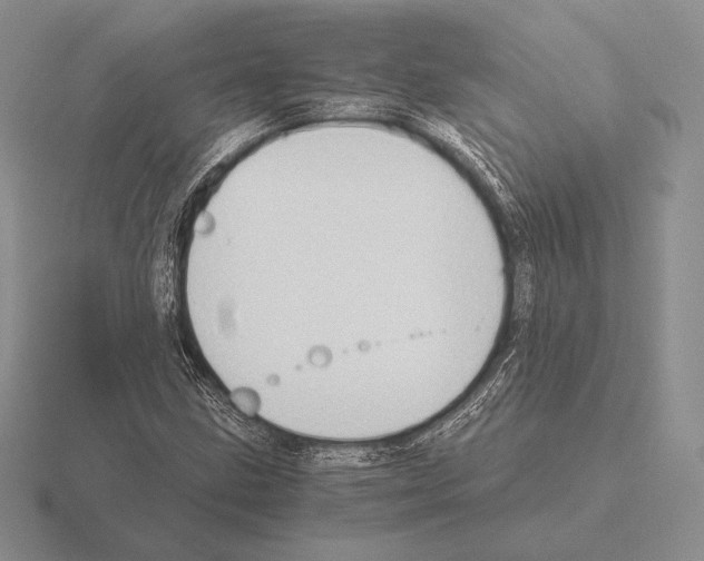 X0000115411211200912151534