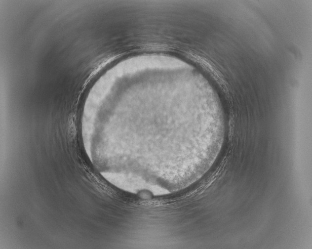 X0000115411212200912151534