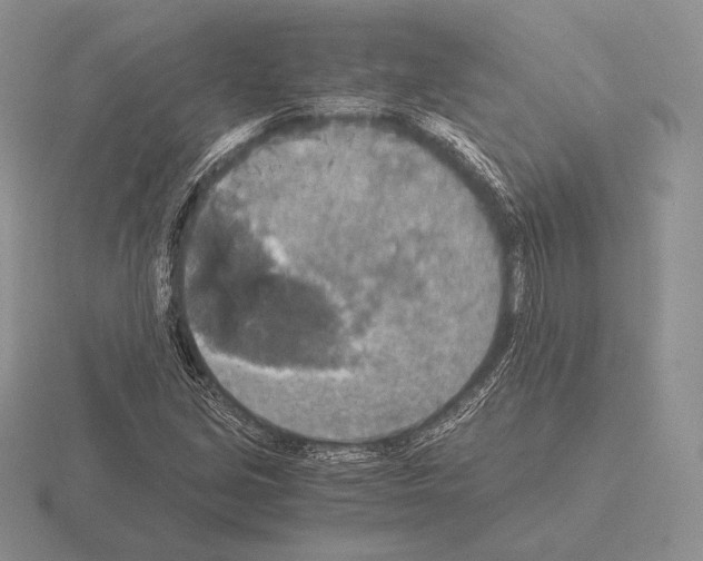 X0000115411213200912151534