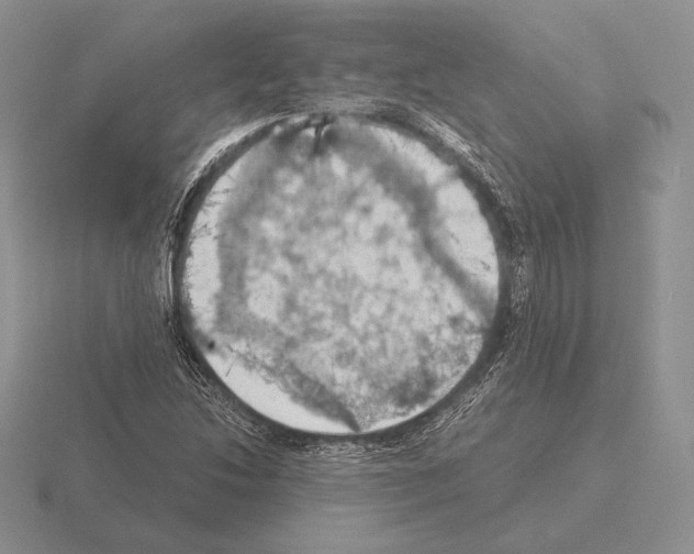 X0000115411214200912151534