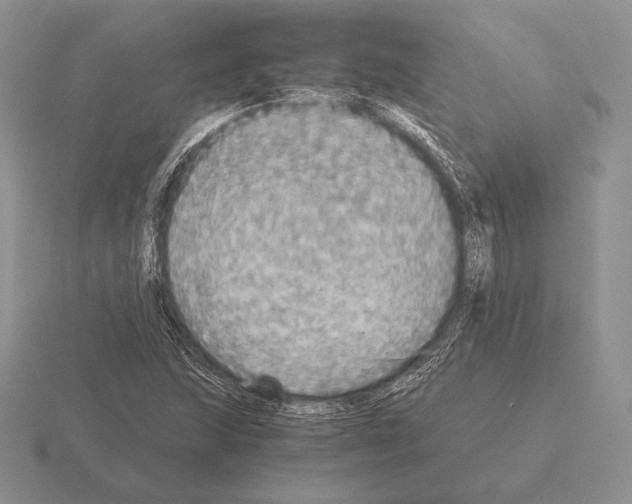 X0000115411215200912151534