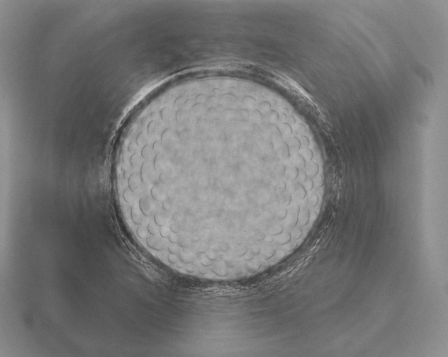 X0000115411216200912151534