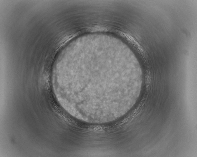 X0000115411217200912151534