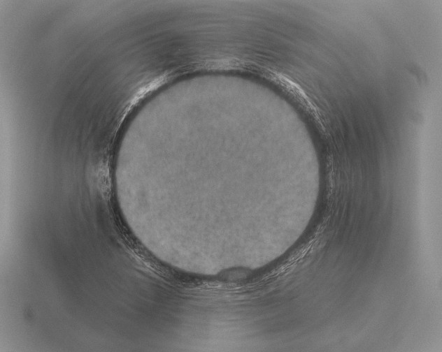 X0000115411218200912151534